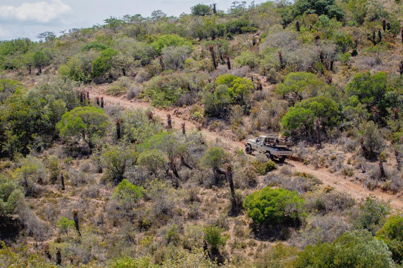 African Safari Lodge Grahamstown Exterior photo